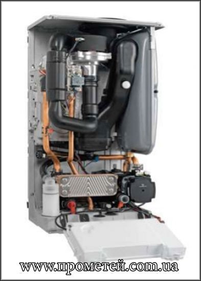 Строение конденсационного газового котла Протерм Рысь